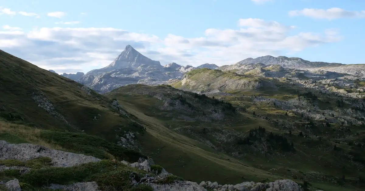 Qual é o parque natural famoso nos Pirenéus franceses?