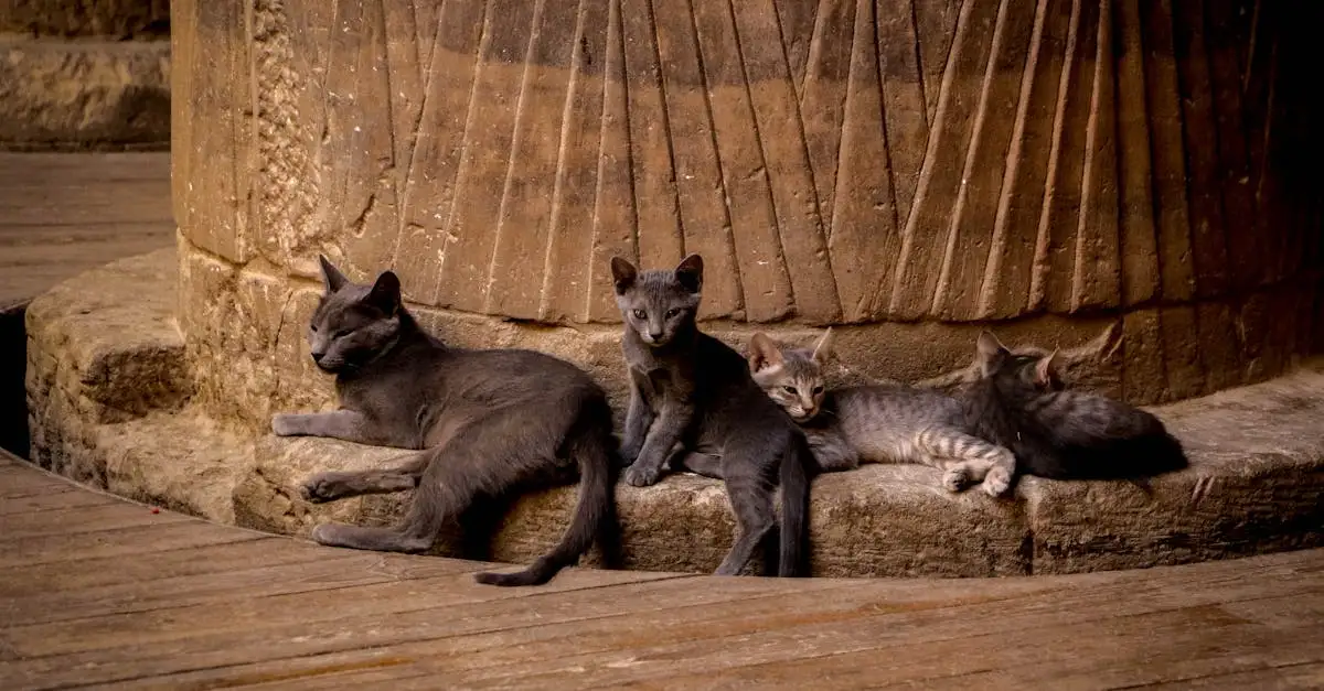 Qual foi a importância dos gatos no Antigo Egito?