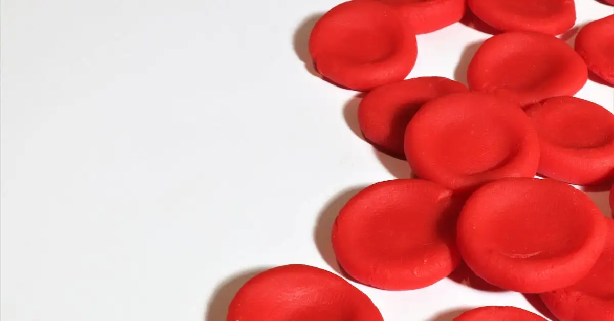 Alergia ao trigo aumenta os glóbulos brancos? Descubra!