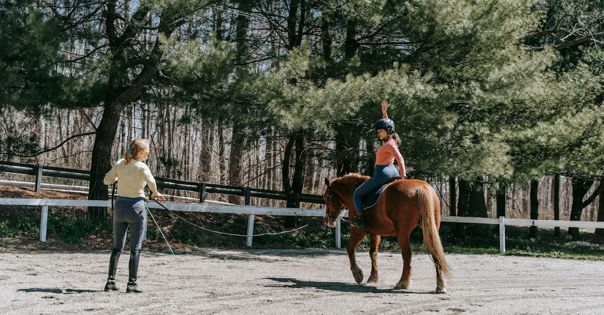 Como os cavalos foram treinados para a batalha?