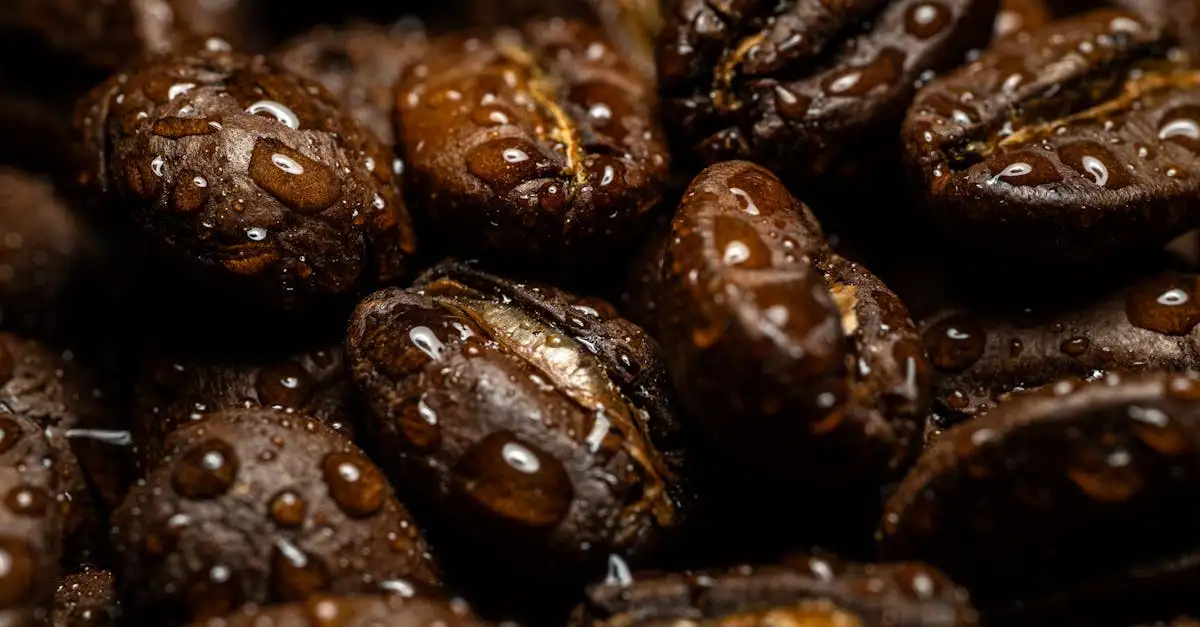 Como usar borras de café para espantar caracóis das plantas?