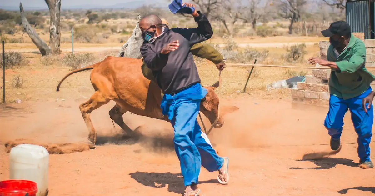 O que fazer em Botswana? Descubra atividades e eventos!