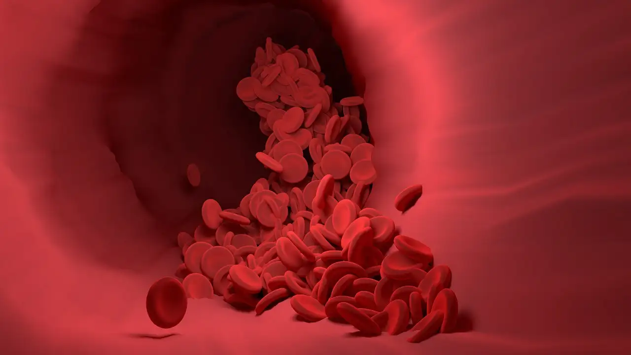O que significa ter glóbulos brancos altos no exame de sangue?