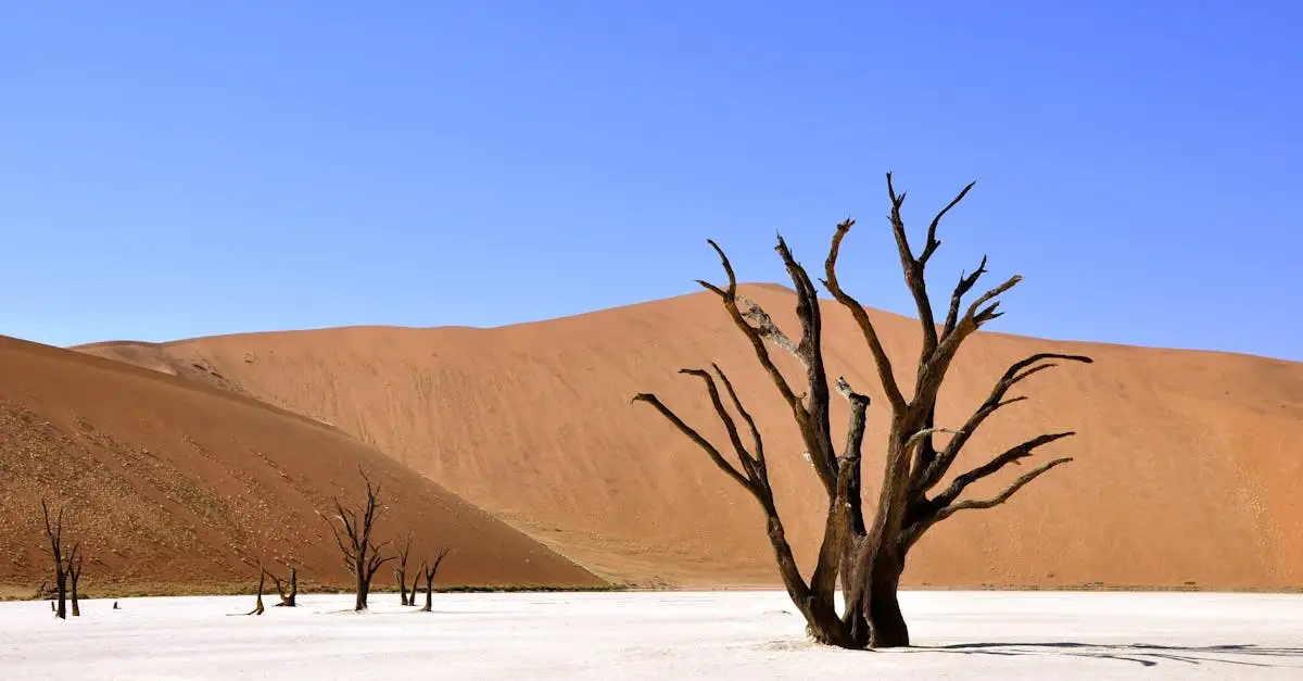 Onde ficam as famosas dunas do deserto da Namíbia?