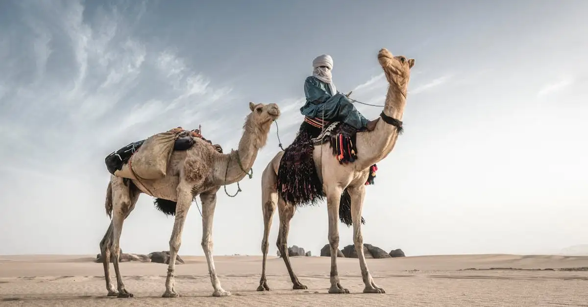 Por que o deserto do Saara na Argélia impressiona tanto?