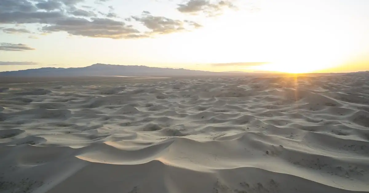 Qual deserto da Mongólia possui dunas e montanhas?