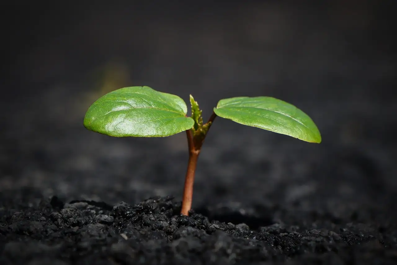 Qual deusa representa a terra e a mãe da natureza?