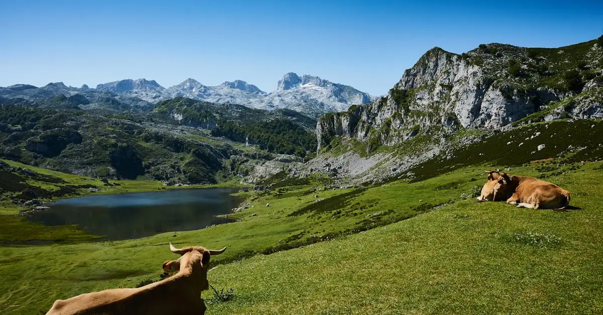 Qual região da Espanha abriga os Picos da Europa?
