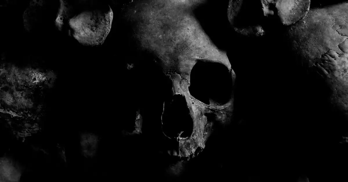 Quem é Dhumavati, a deusa guerreira da morte?