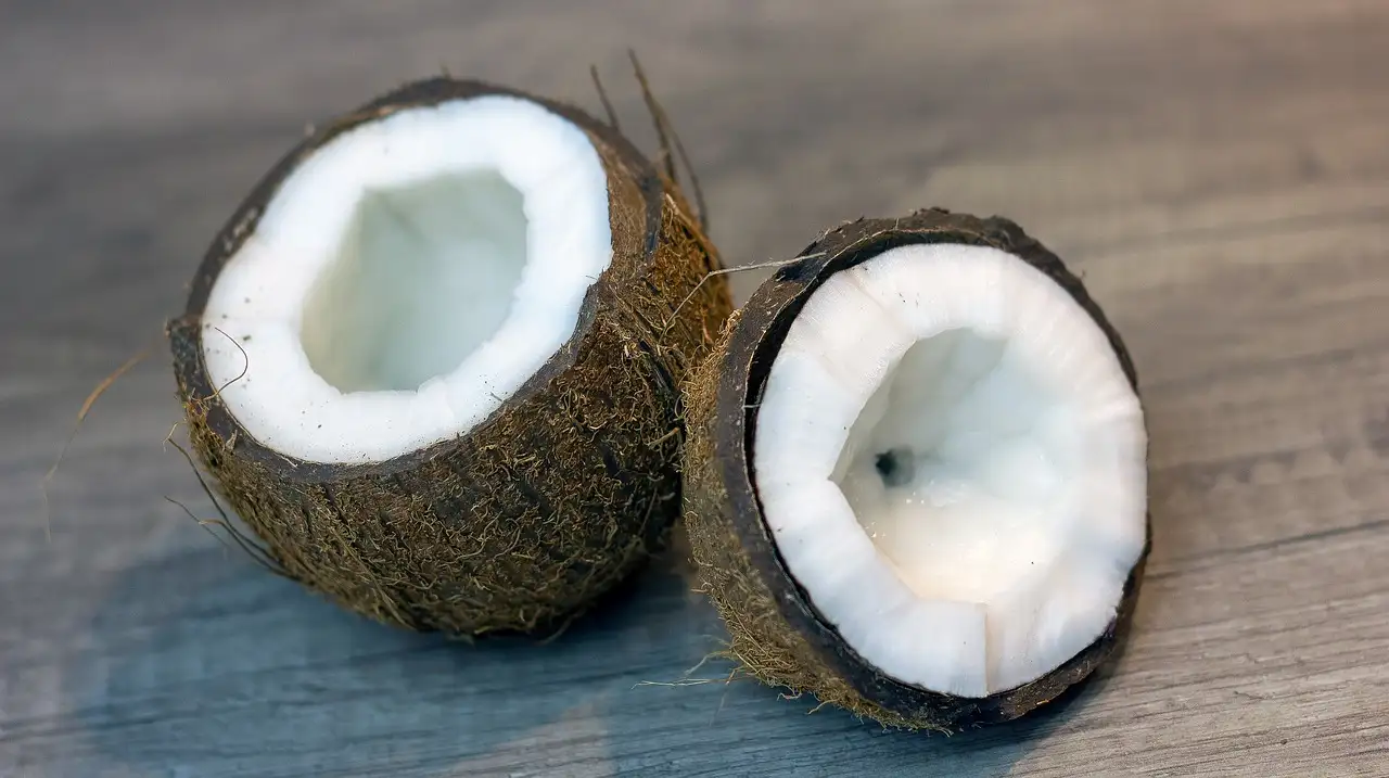 Coco seco é saudável? Descubra os benefícios agora!
