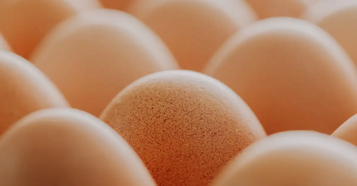 Comer 4 ovos por dia: é saudável ou não?