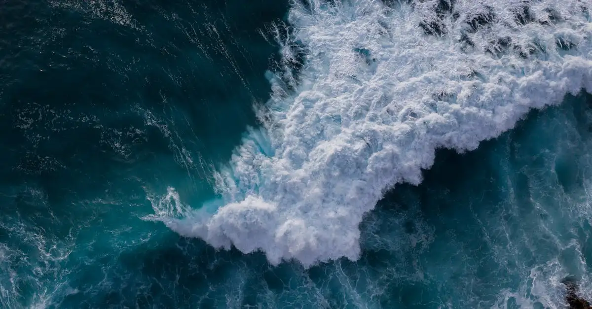 Como o tsunami de 1960 afetou as costas do Havai?