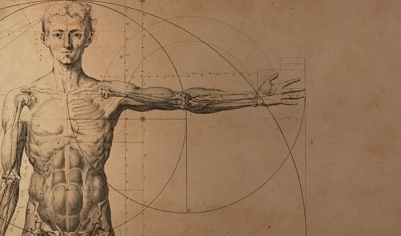 Como os estudos de Vesalius revolucionaram a medicina?