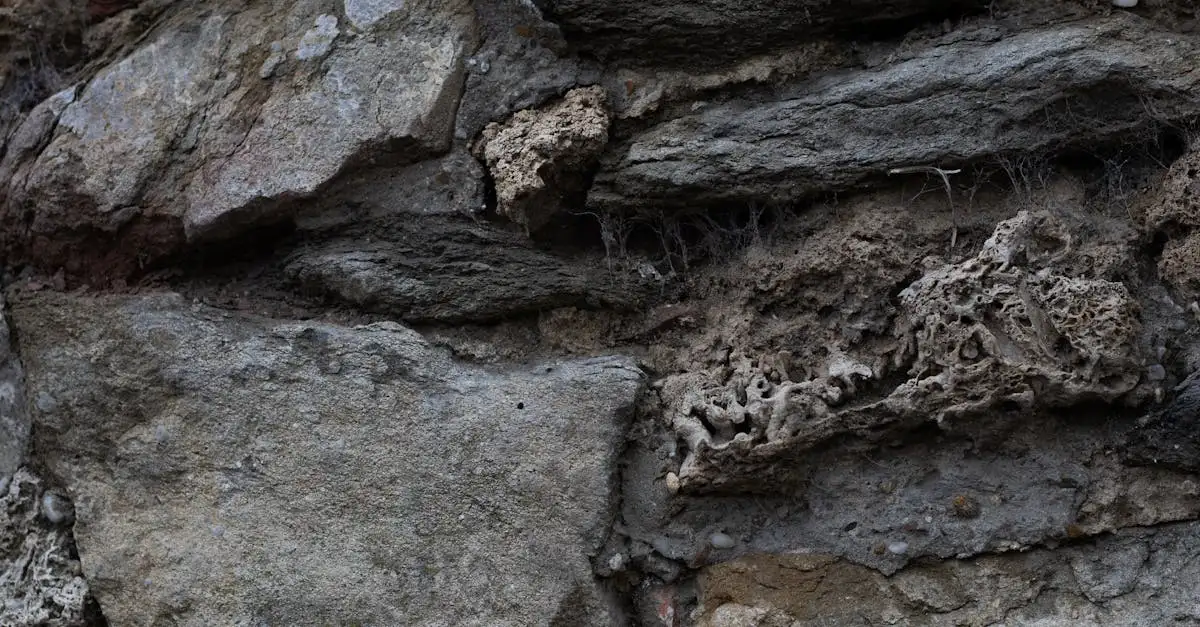Como os Neandertais Faziam Suas Ferramentas de Pedra?
