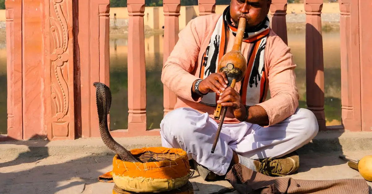 O que explorar nas coloridas ruas de Jaipur?