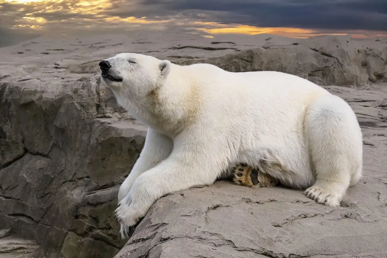 O que faz do Lago Great Bear uma joia única no Canadá?