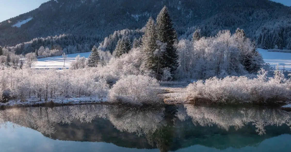 O que faz do Parque Nacional Urho Kekkonen um destino único?