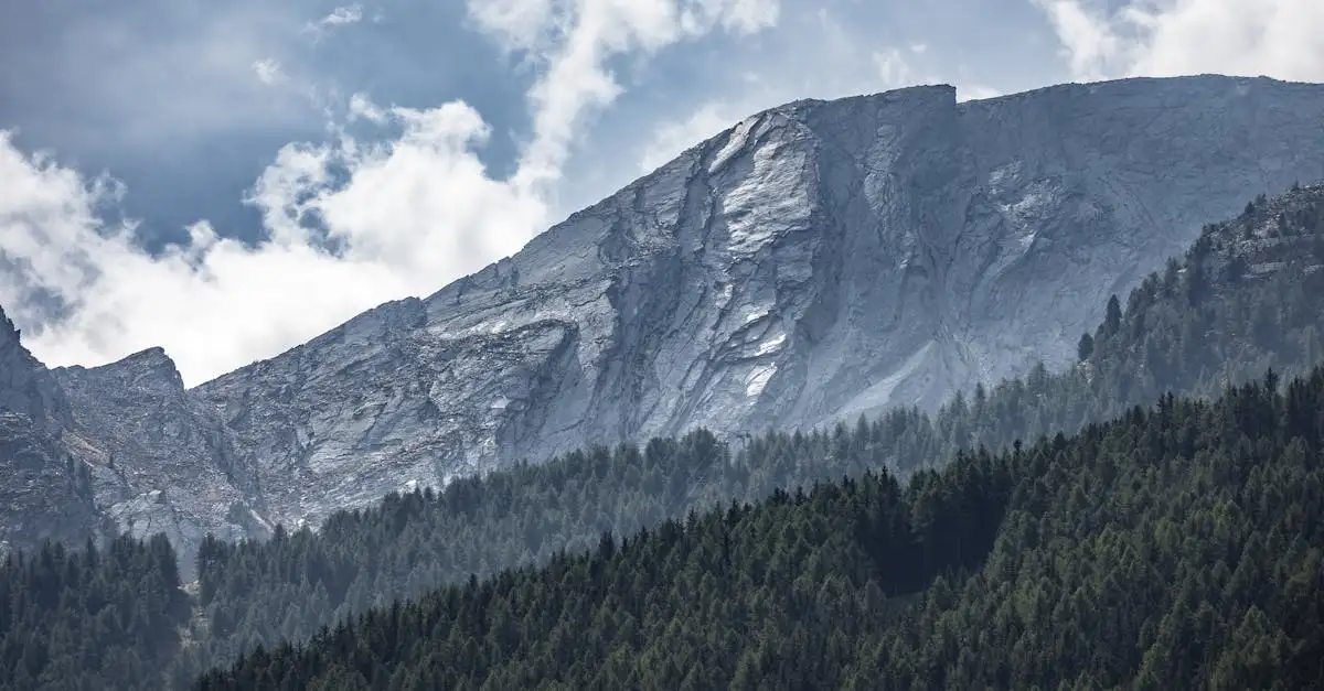 O que saber sobre o Parque Nacional Gran Paradiso na Itália?