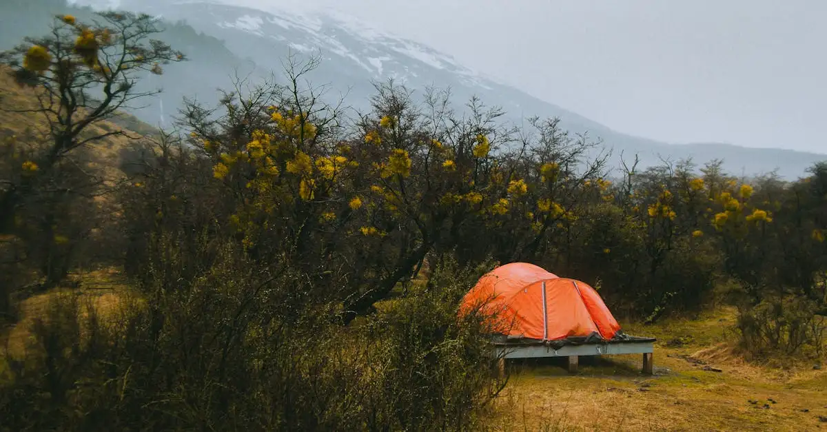 Onde está localizado o Parque Nacional Torres del Paine?