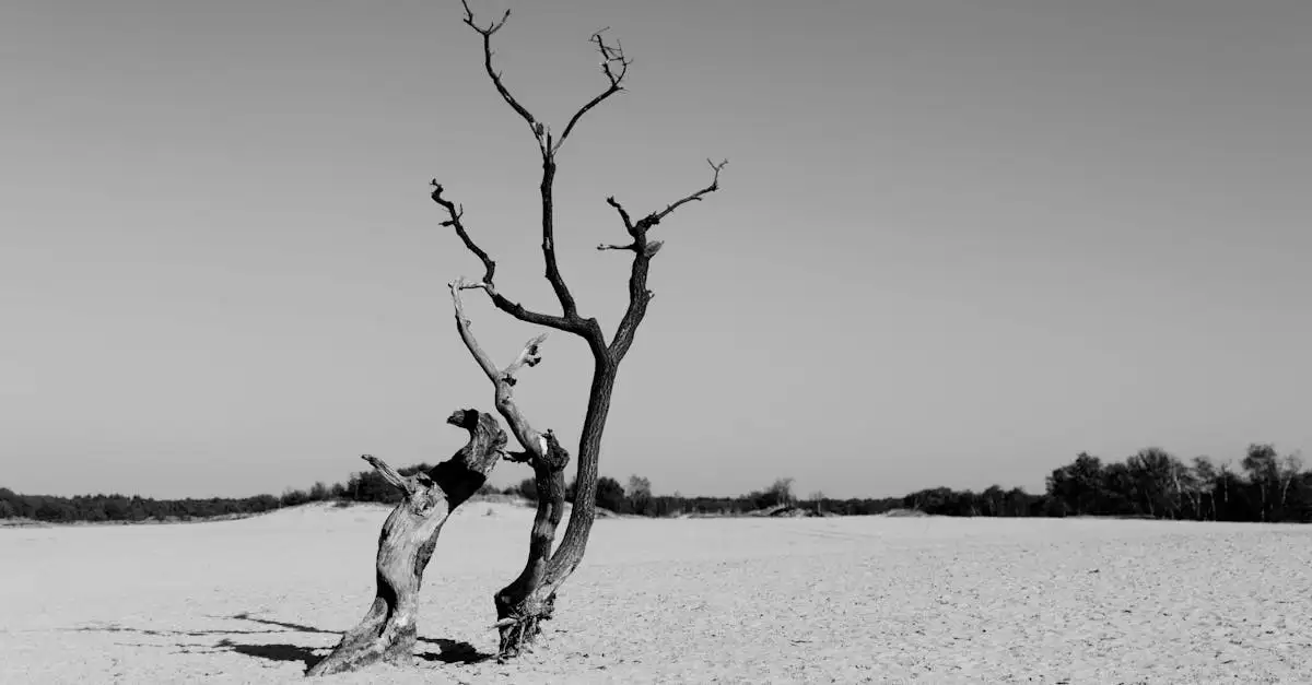 Por que o Lago Eyre é único mesmo em períodos de seca?