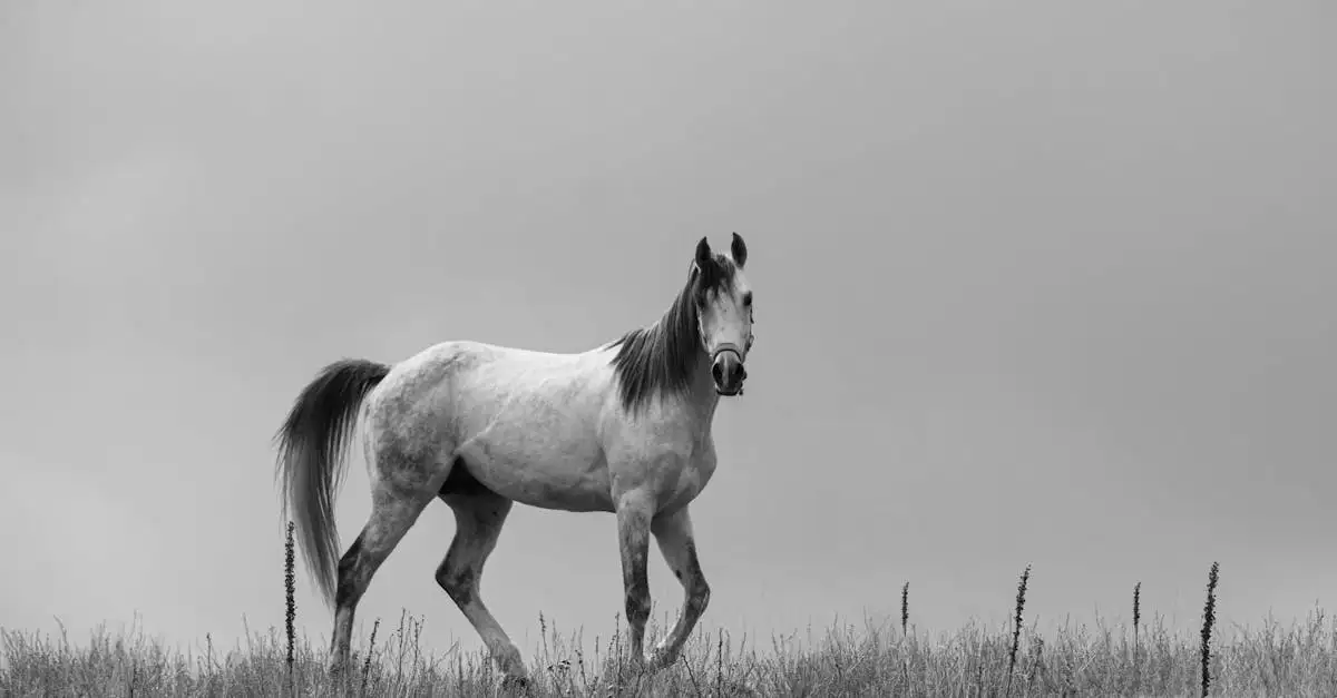 Por que Poseidon é associado ao cavalo na mitologia?