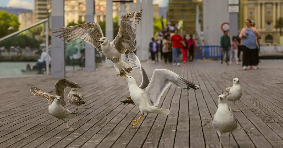 Quais aves ajudam na dispersão de sementes essenciais?