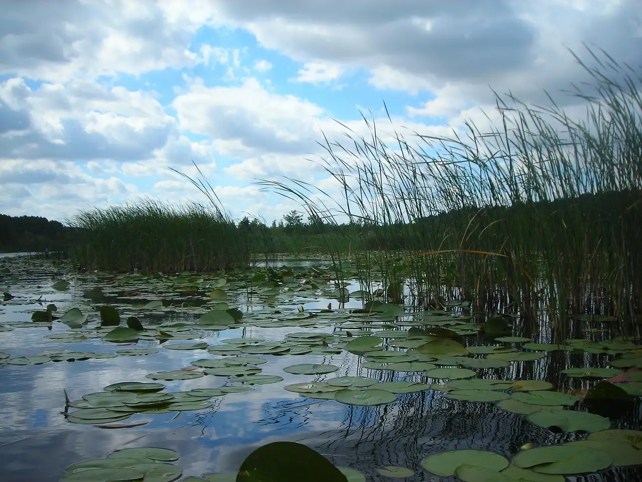 Quais são os principais atrativos do Lago Müritz na Alemanha?