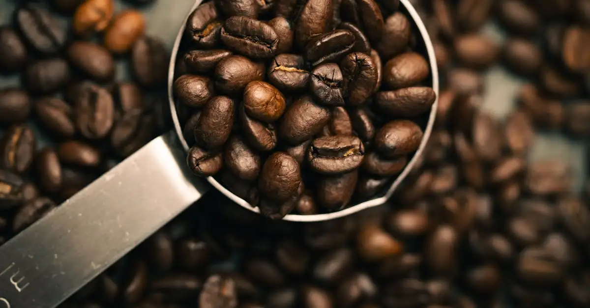 Qual o outro nome para o pó de café?