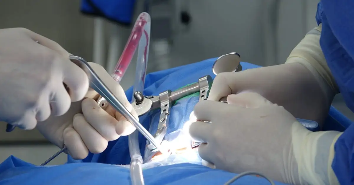 A coluna vertebral pertence a que sistema de órgãos?