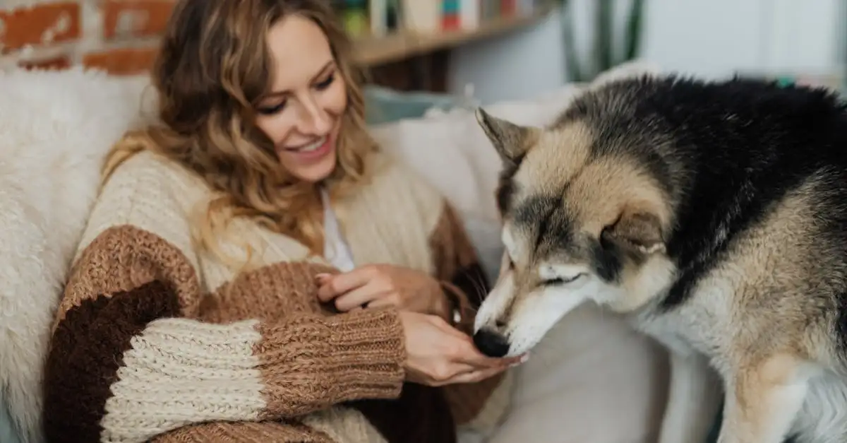 Como criar artigos incríveis sobre cães?