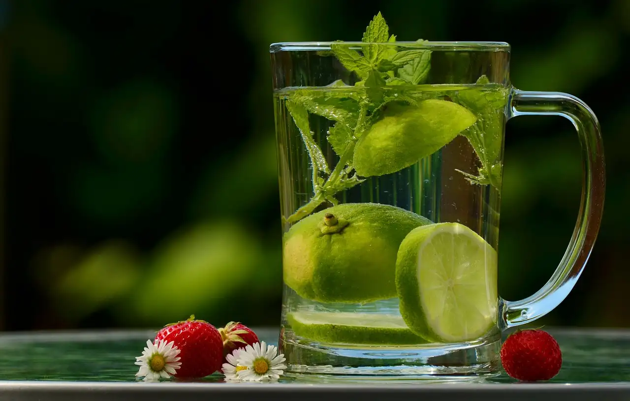 Onde fazer detox? Conheça benefícios e dicas essenciais!