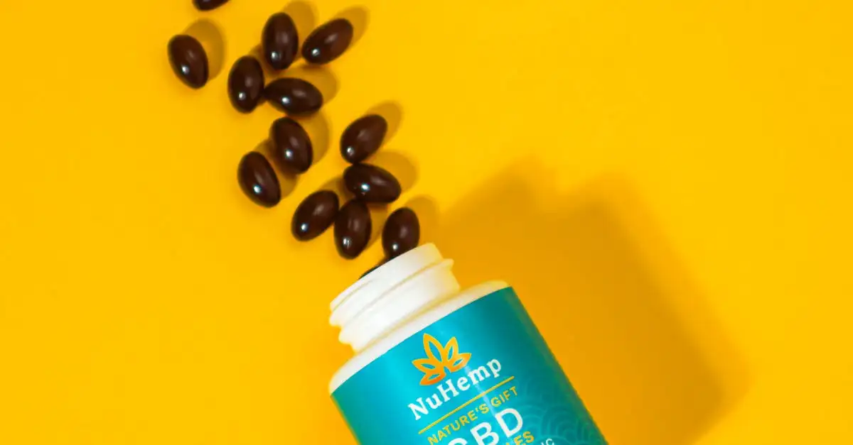 Para que serve a B12? Quais são seus benefícios e fontes?