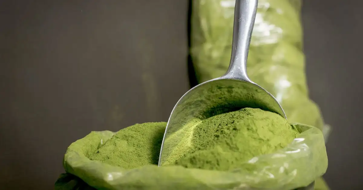 Para que serve a moringa? Descubra seus benefícios!