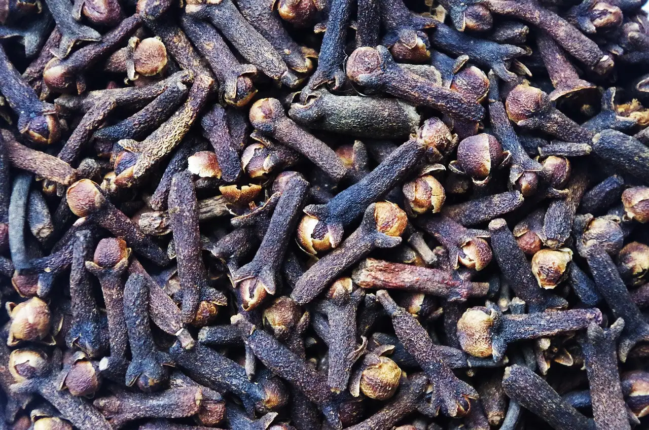 Para que serve o cravo-da-índia na sua saúde e culinária?