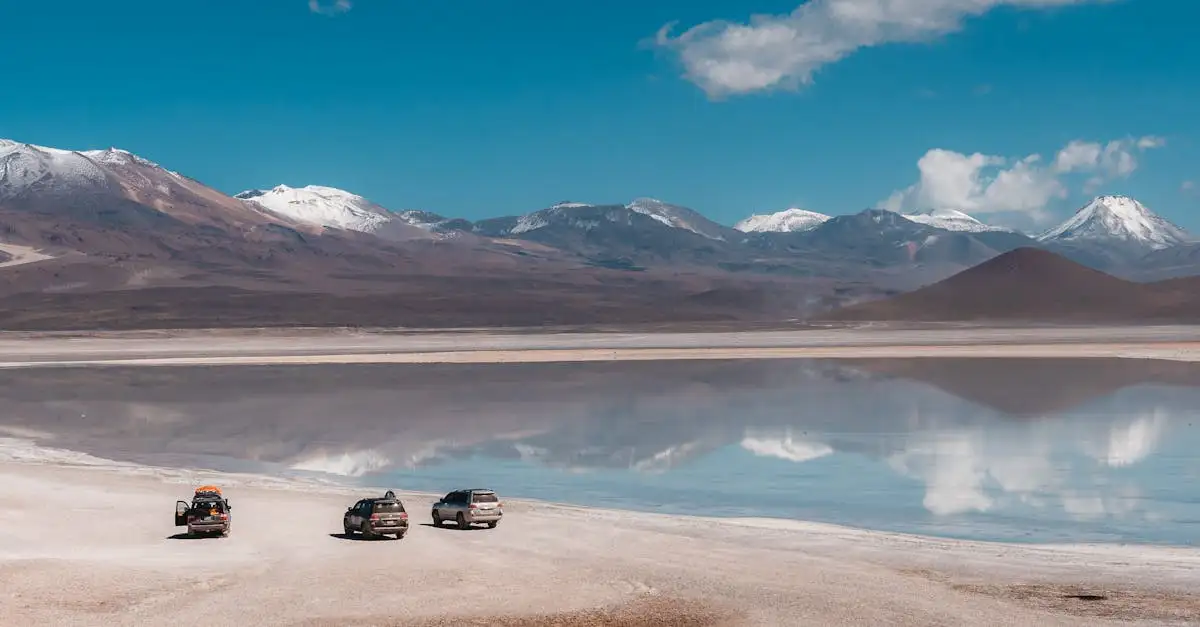 Quais são as únicas salinas do Salar de Uyuni?