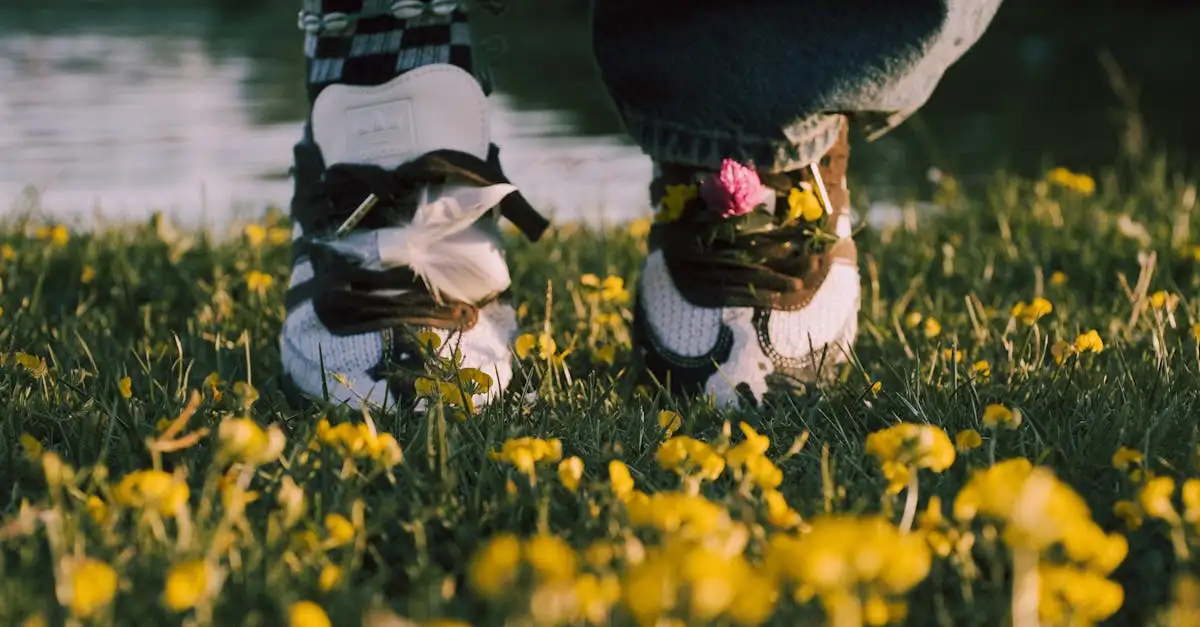 Quais são os melhores sapatos para artrose no joelho?