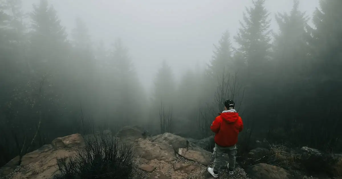 Quais são os melhores trilhos na Floresta Negra, Alemanha?