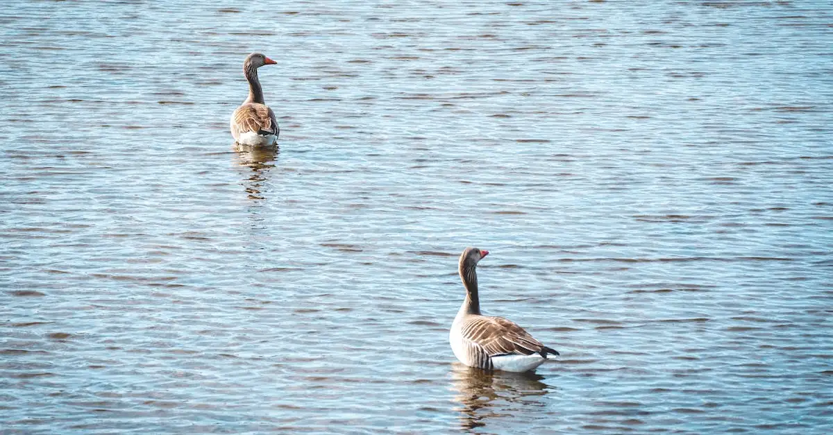 Qual região abriga o Parque Nacional Lake Nakuru no Quênia?