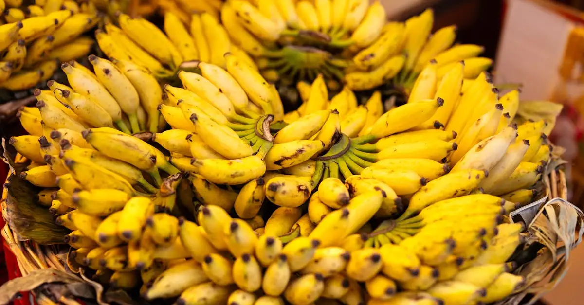 Qual vitamina pode ajudar no tratamento do glaucoma?