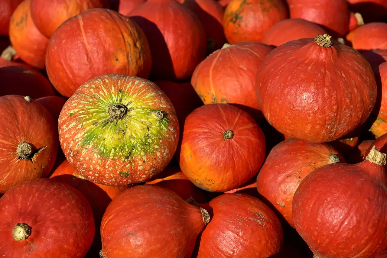 Quanto Tempo é Necessário para Cozinhar Abóbora?