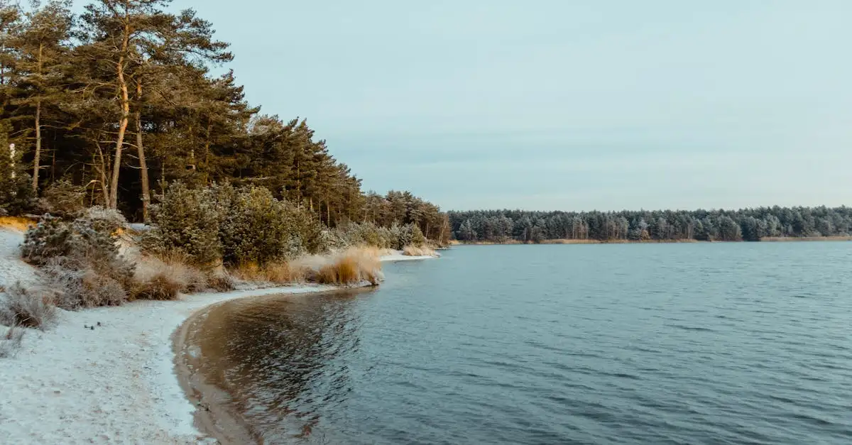 Por que o Lago Erie é vital para o abastecimento de água doce?
