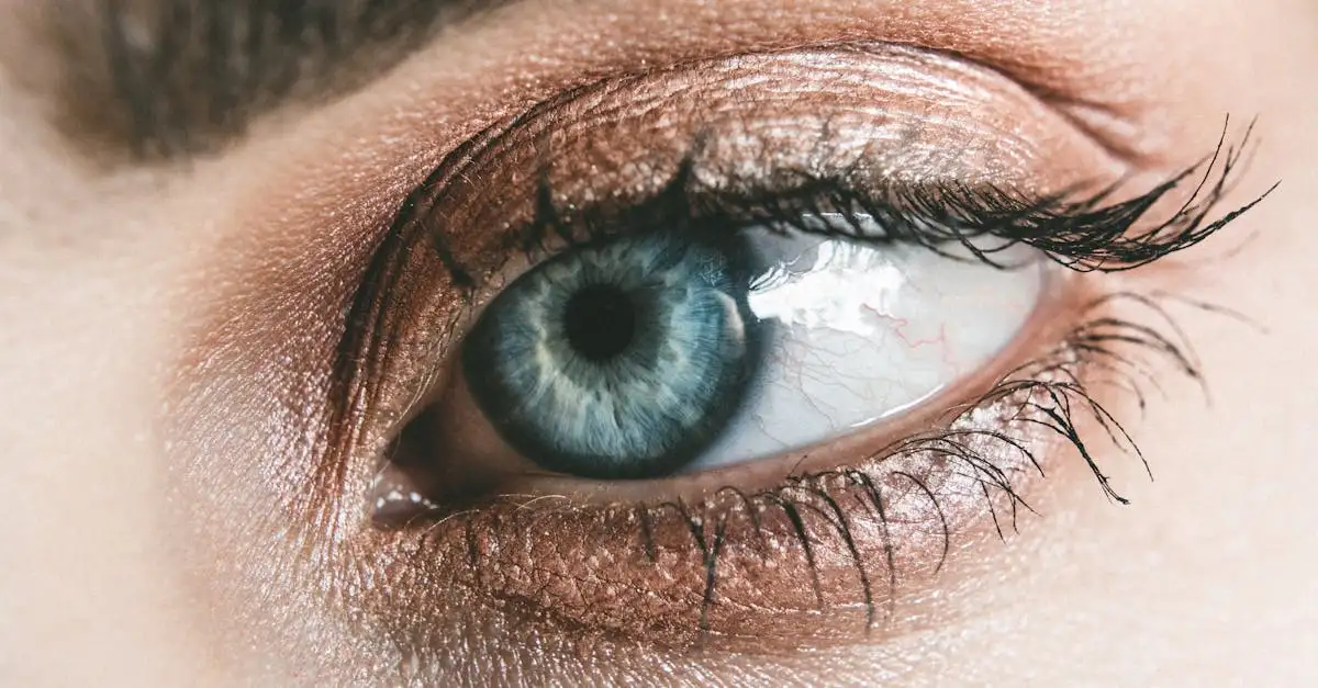 Qual a melhor sombra para olhos azul-acinzentados?