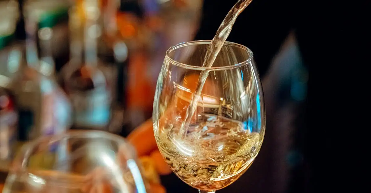 Qual vinho harmoniza melhor com bouillabaisse?