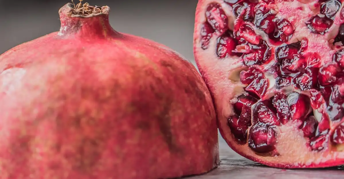 Vitamina B12: Quais são seus benefícios e fontes?