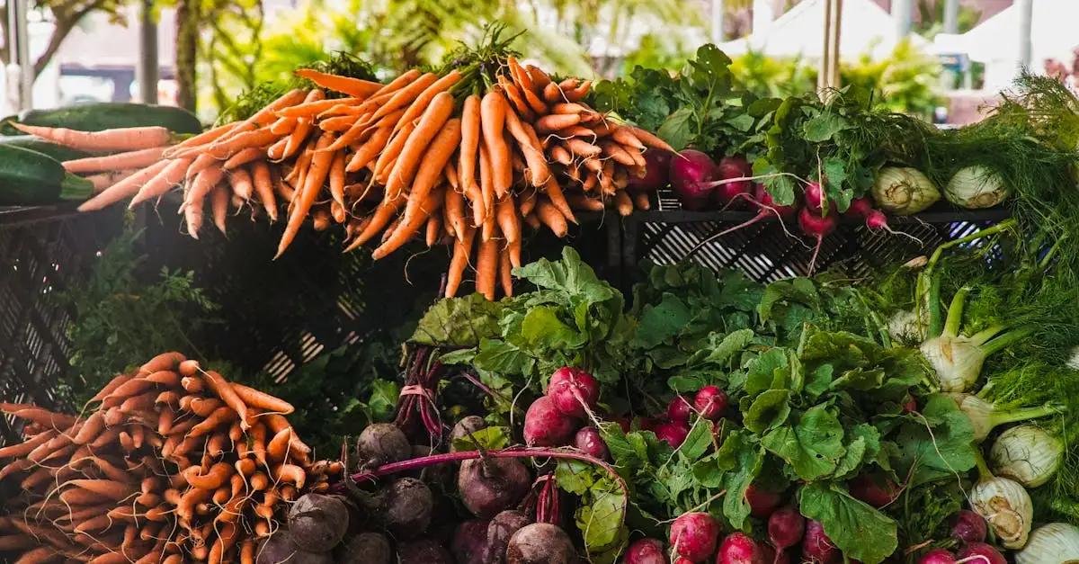 Quais legumes plantar juntos na horta para melhores resultados?