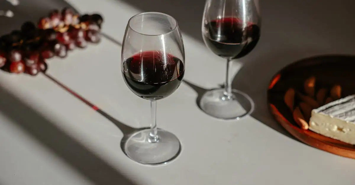 Qual vinho harmoniza com sopa de cebola francesa? Descubra!