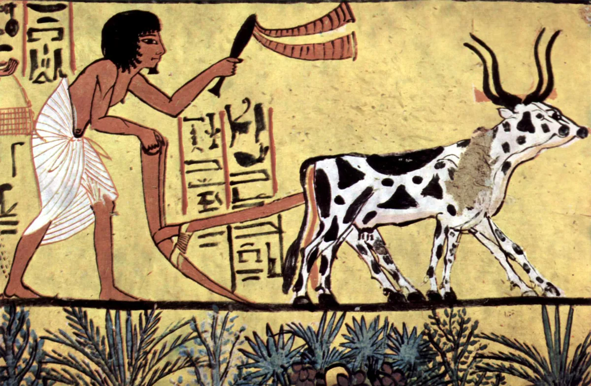 Agricultura