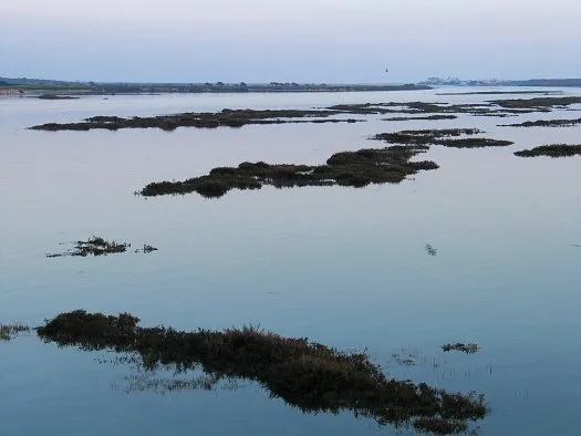 Ria Formosa